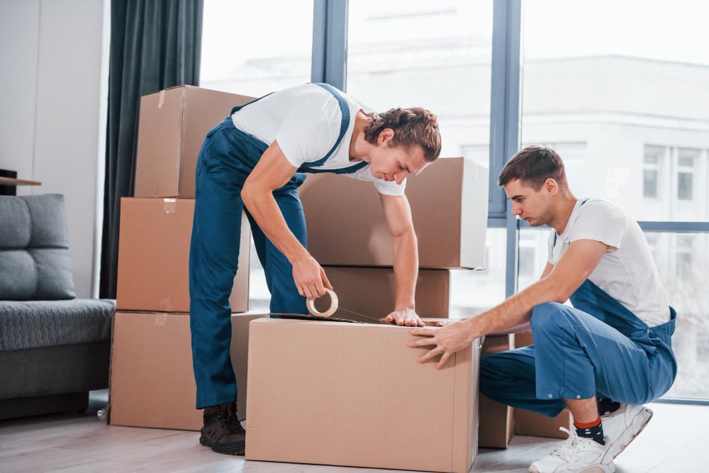 Packing & Unpacking