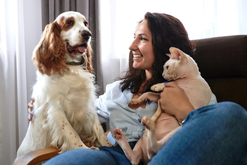 Pet Care