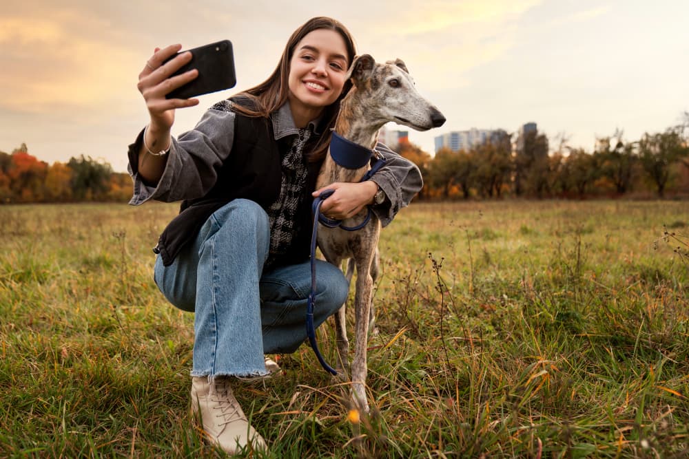 Pet Photography