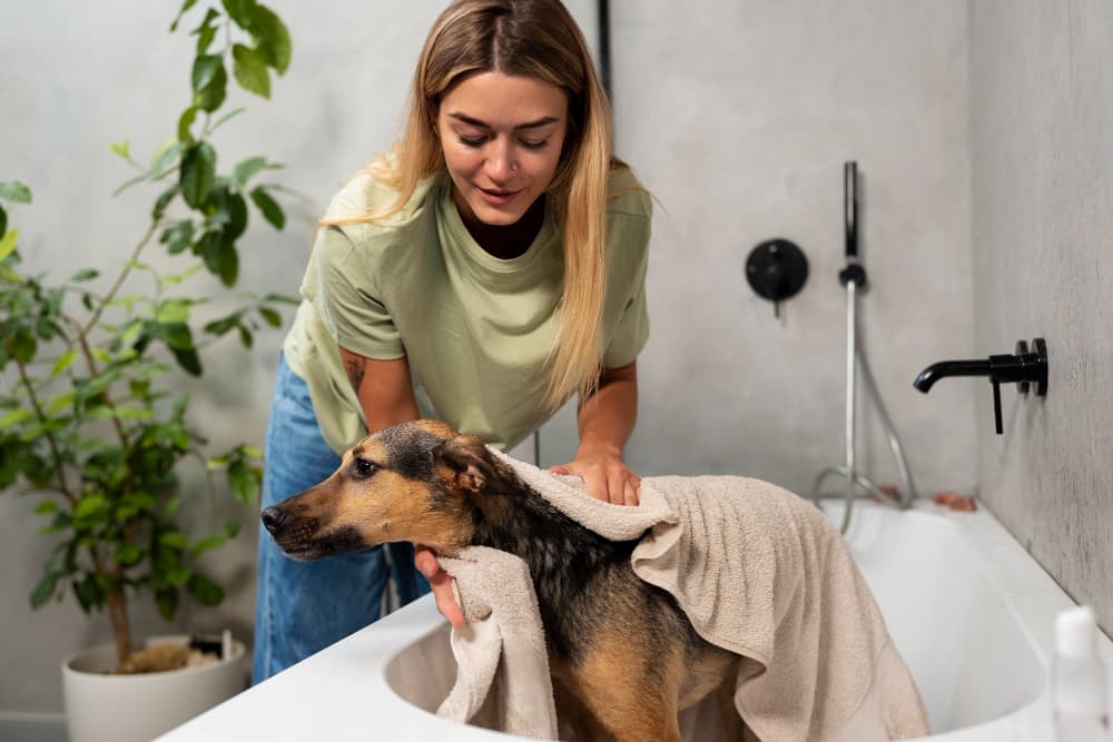 Pet Washing