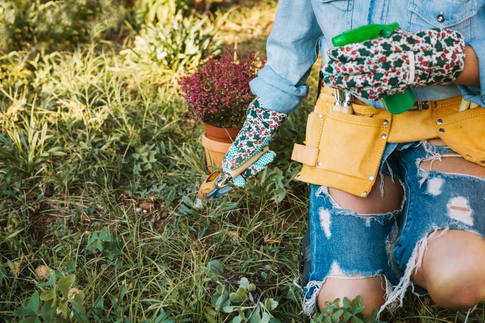 Yard Work & Gardening