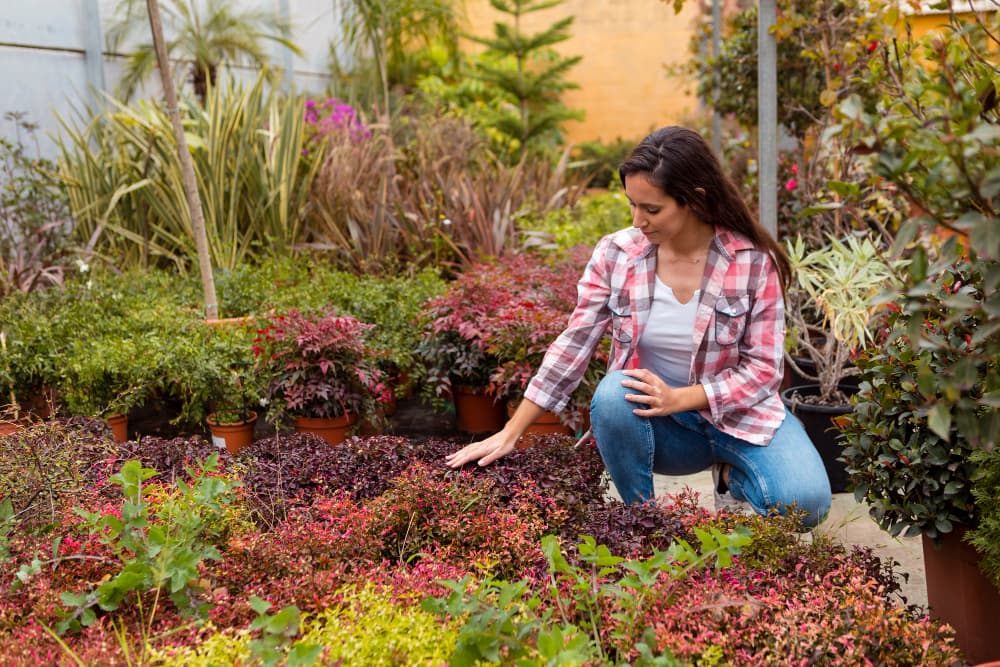 Flower Bed Maintenance