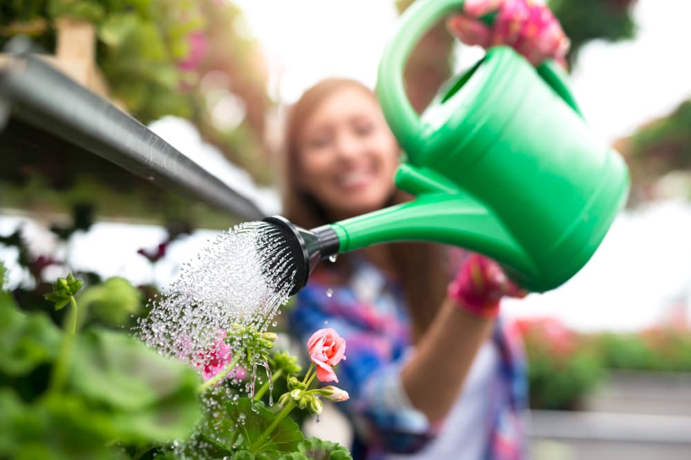 Plant Watering